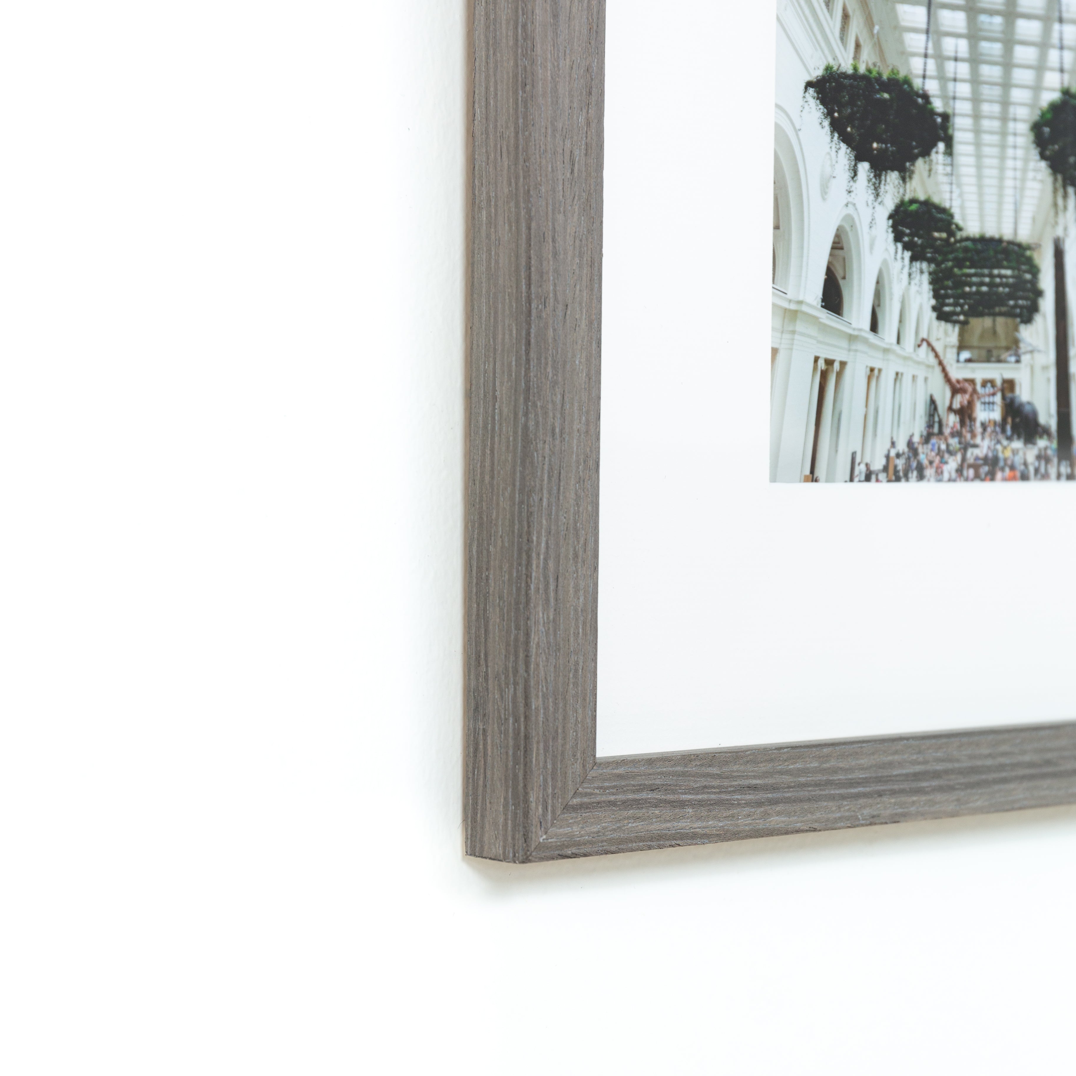 bottom left corner of a architectural photo of a museum ceiling framed in gray Everett frame with a white mat