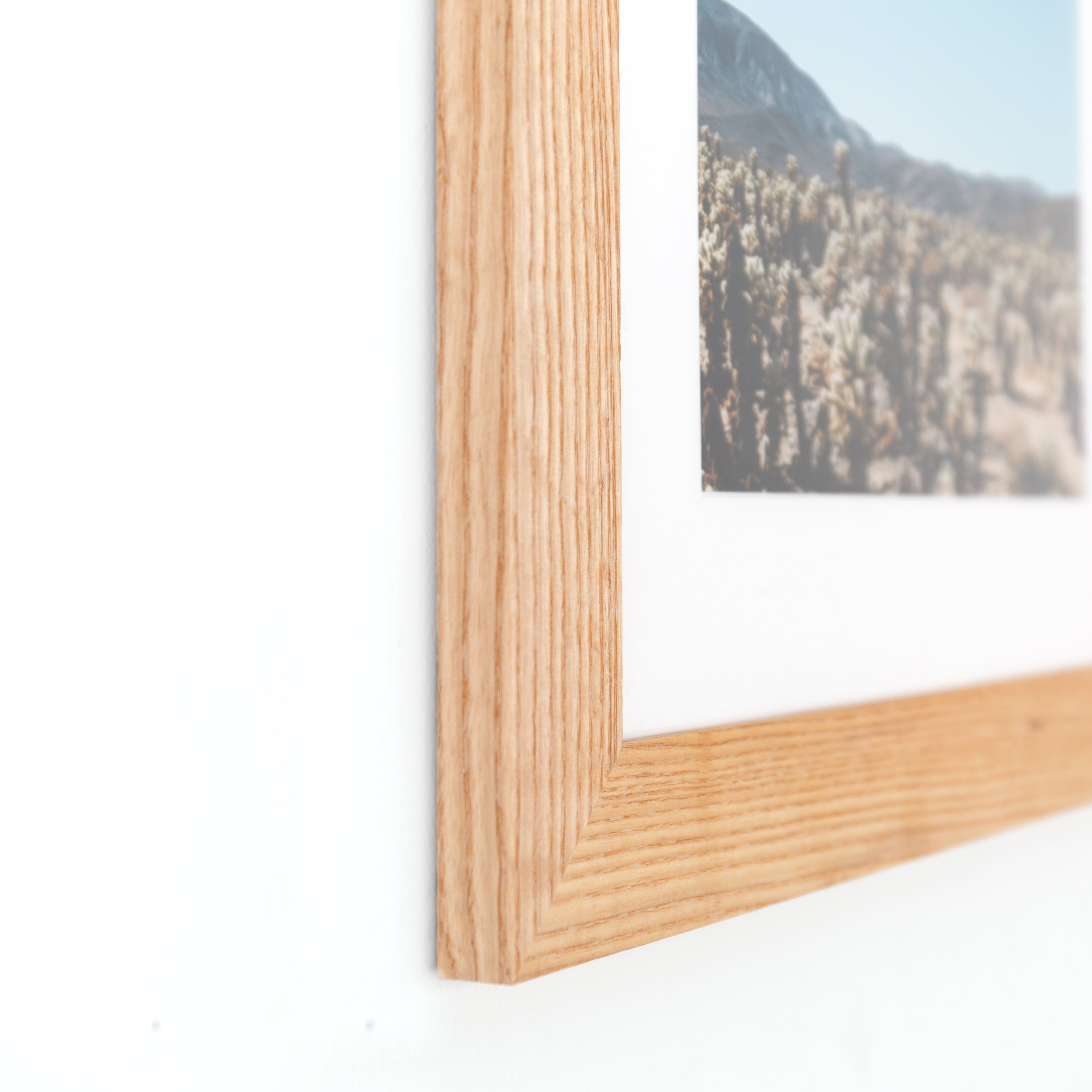 Bottom corner of Desert vista framed in Ash Wide frame with a white mat