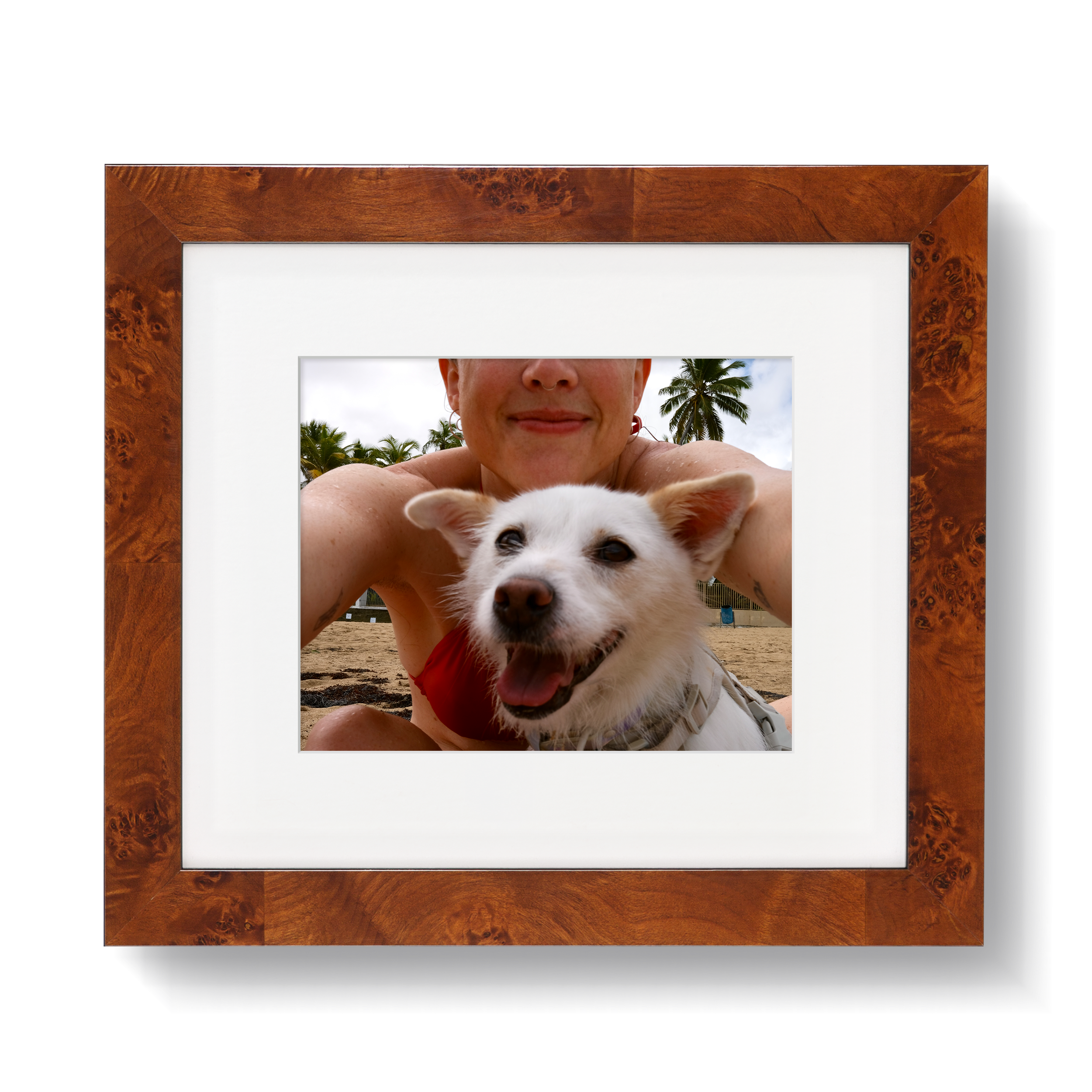 Jambi_R2.png?v=1763562547