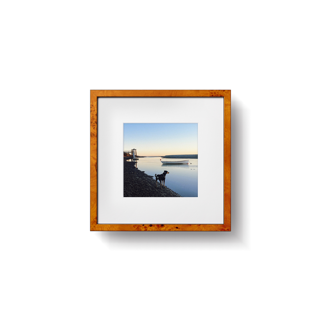 Dog at the lake in a square frame