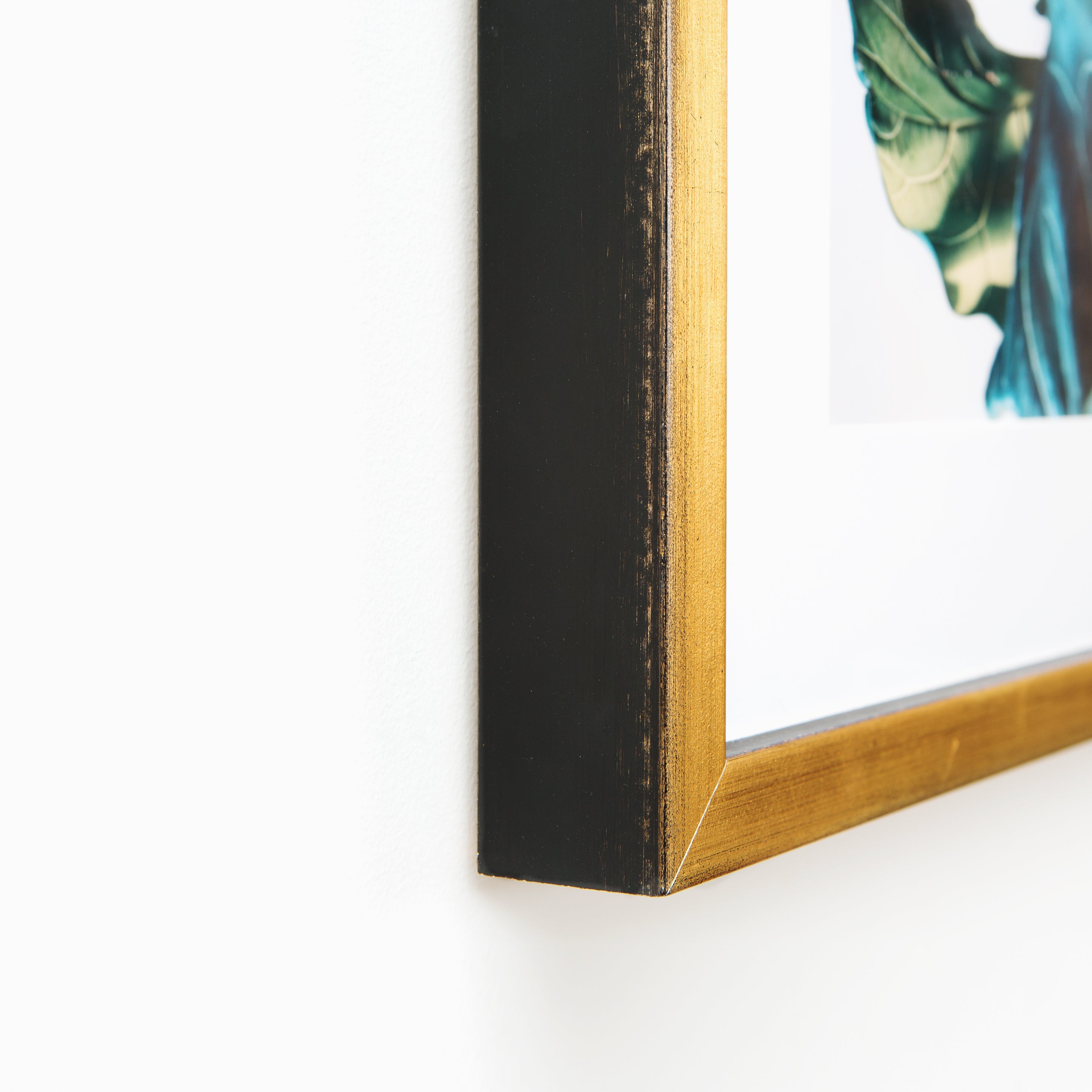 bottom left corner of close up photo of fiddle leaf fig leaves framed in gold Olympia frame with a white mat