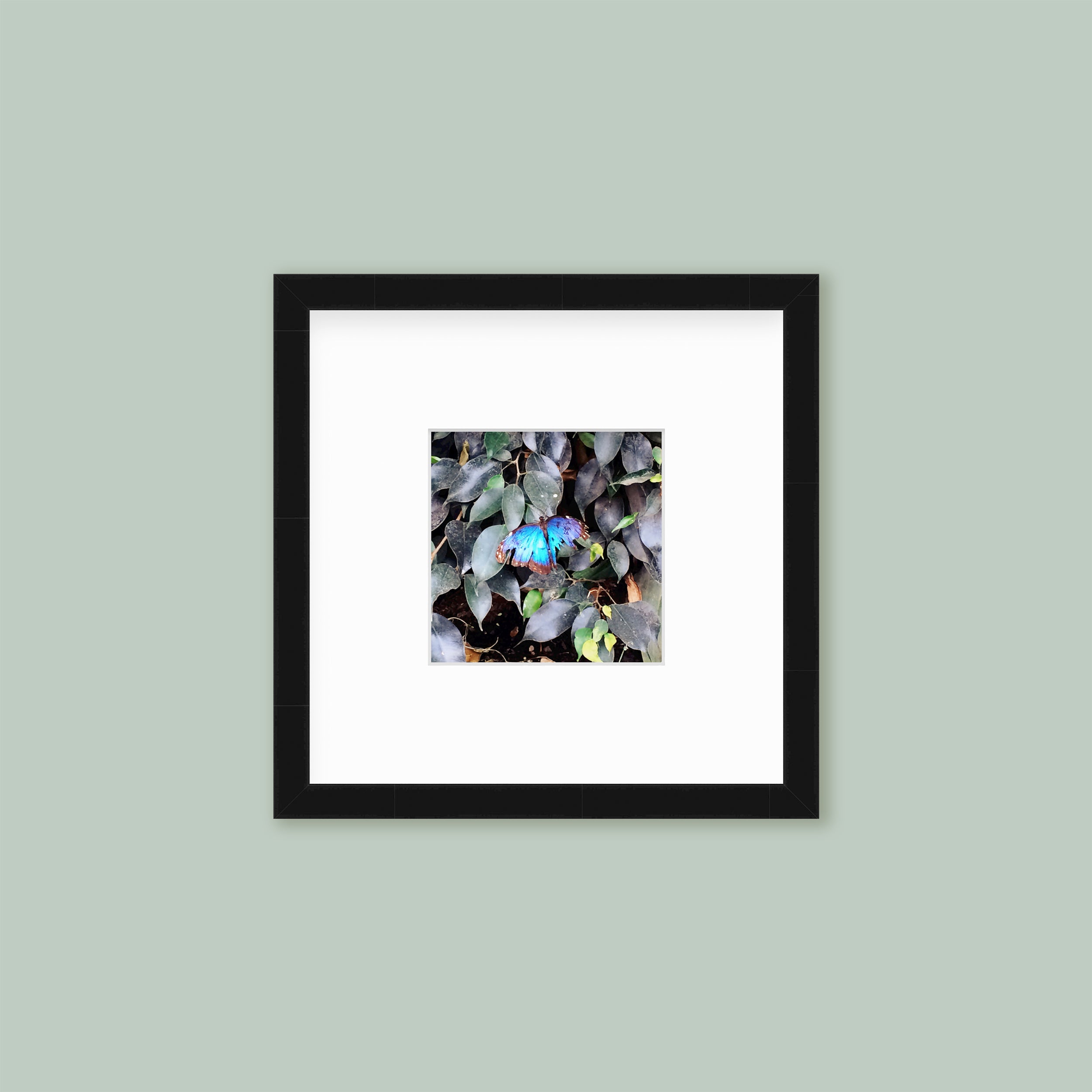 The Mini Tall: Single Frame – Framebridge