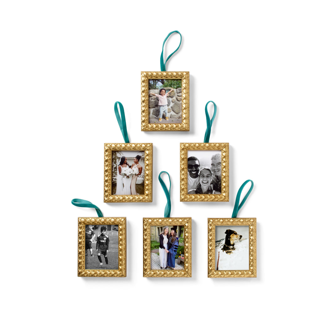 The Six Ornament Bundle