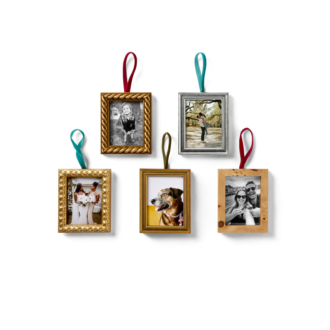 The Vault Ornament Bundle