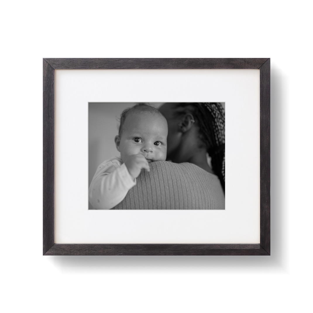 Black Walnut Gallery