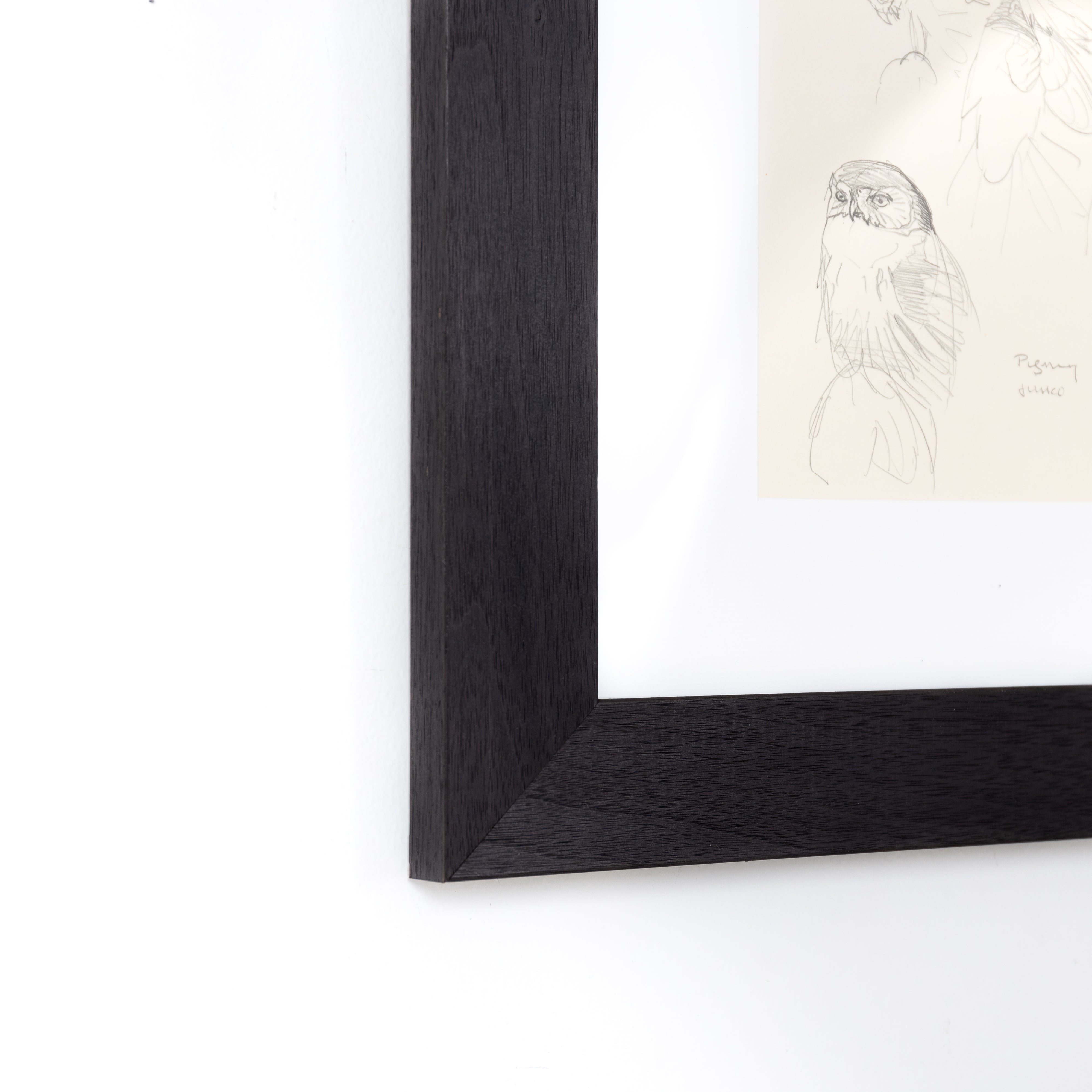 bottom left corner of black and white sketch of birds framed in Black Walnut Wide frame with white mat
