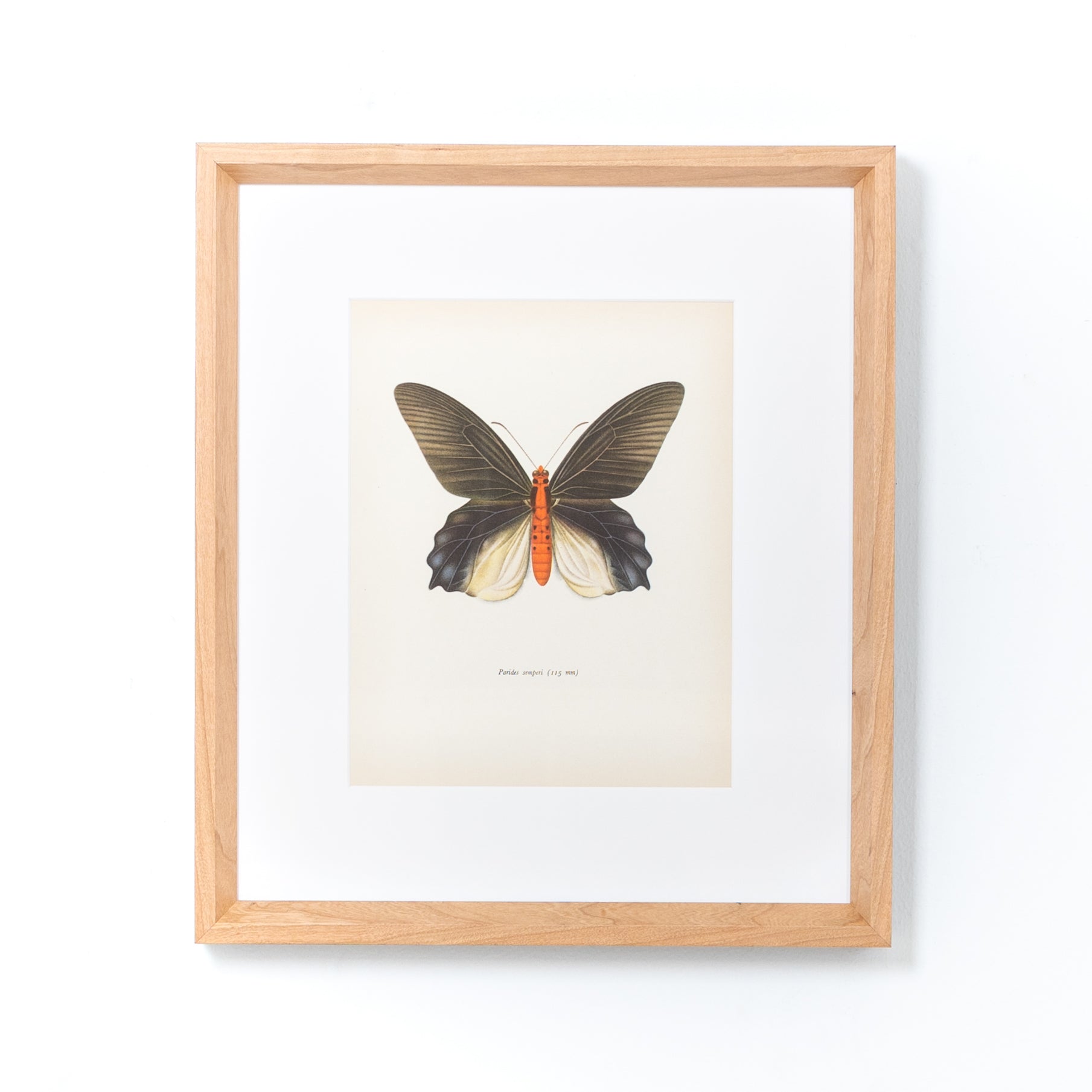 Cherry with White – Framebridge