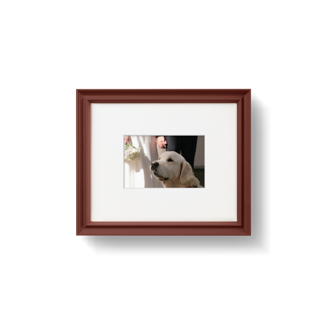 Etruscan Red [Prof. 01]