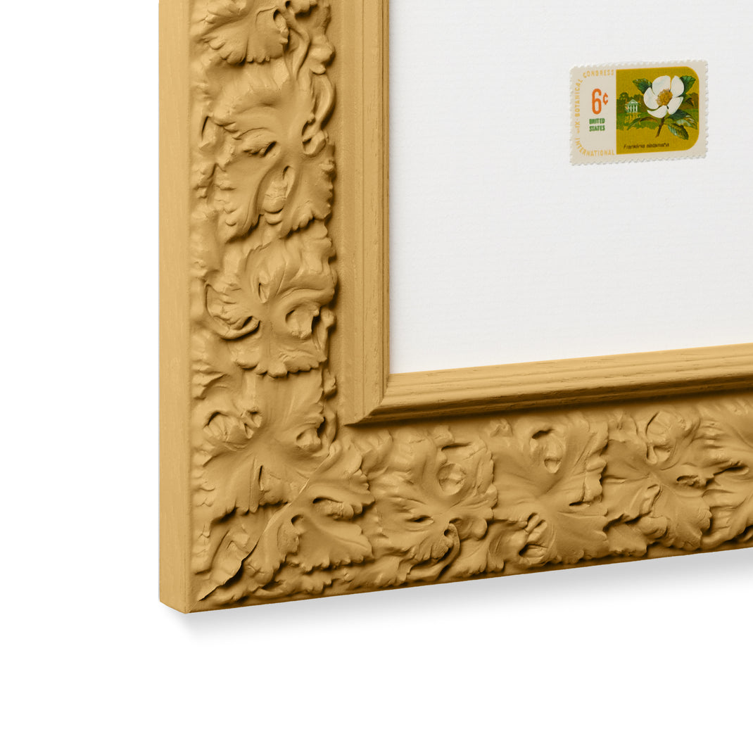 India Yellow [Prof. 02]