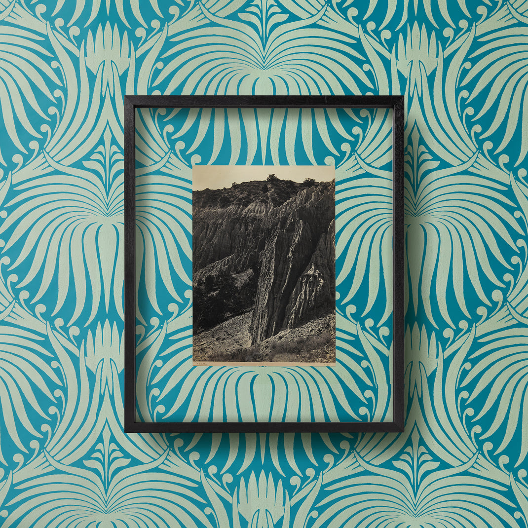 Black Walnut Gallery with Clear Float