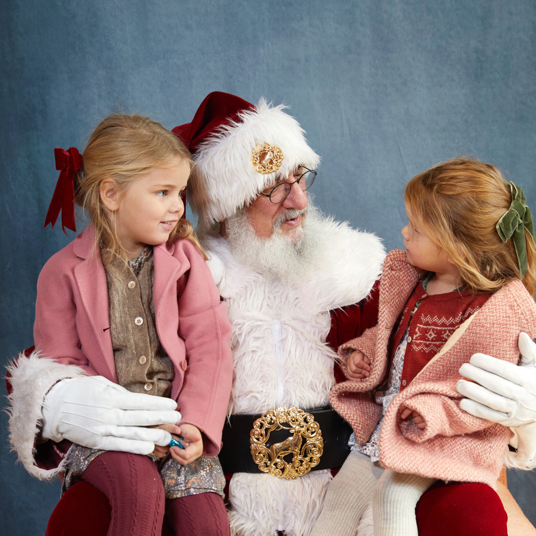 Santa Photos at Framebridge Buckhead