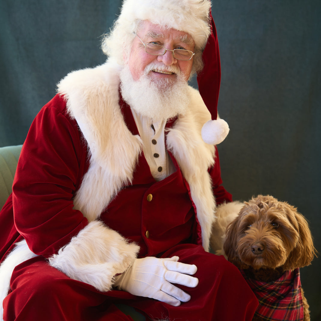 Santa Photos at Framebridge Buckhead