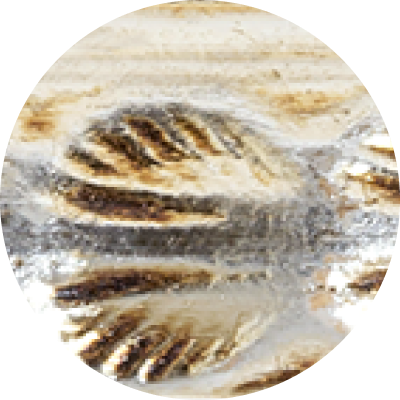 swatch image zermatt_silver_lilypad