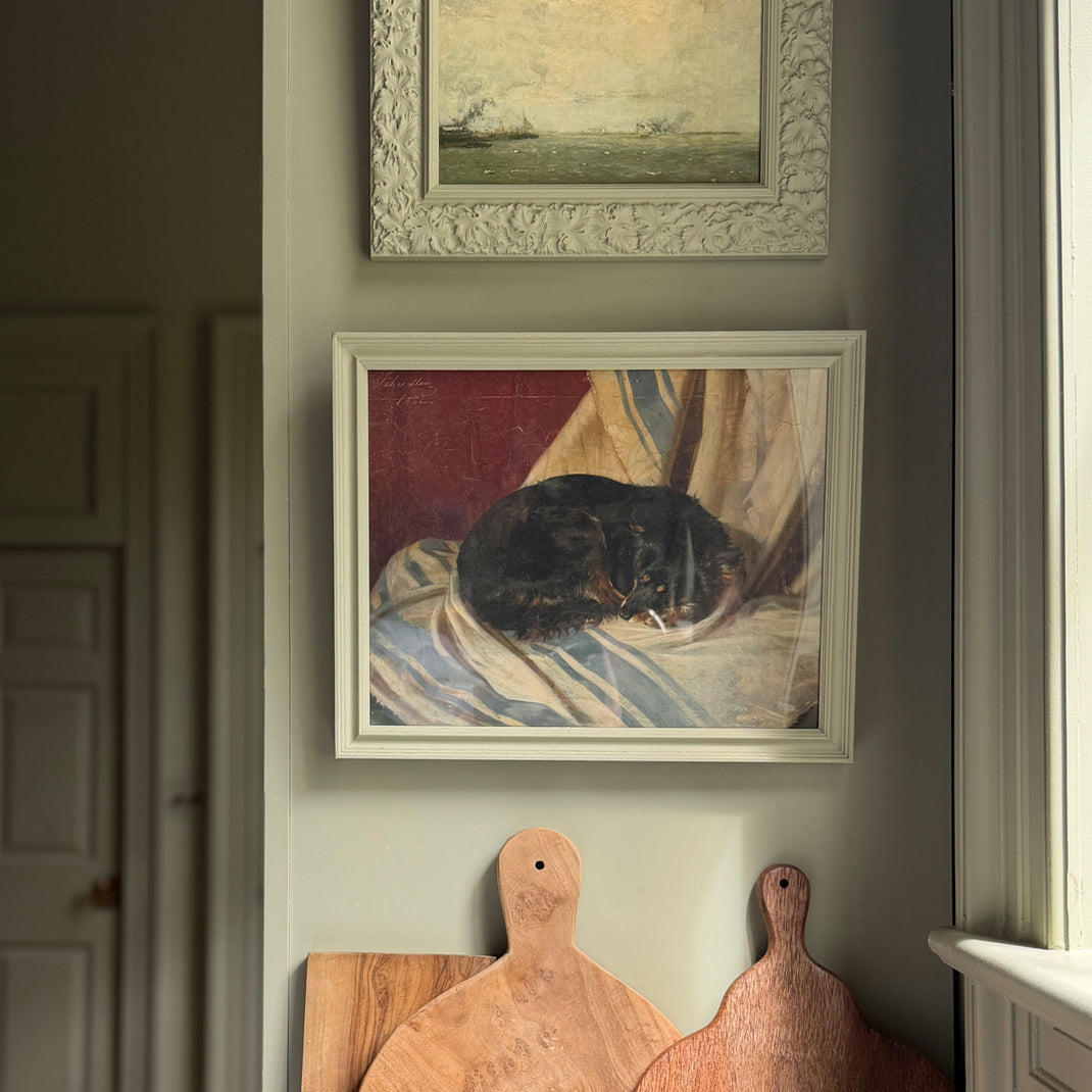 French Gray [Prof. 01]