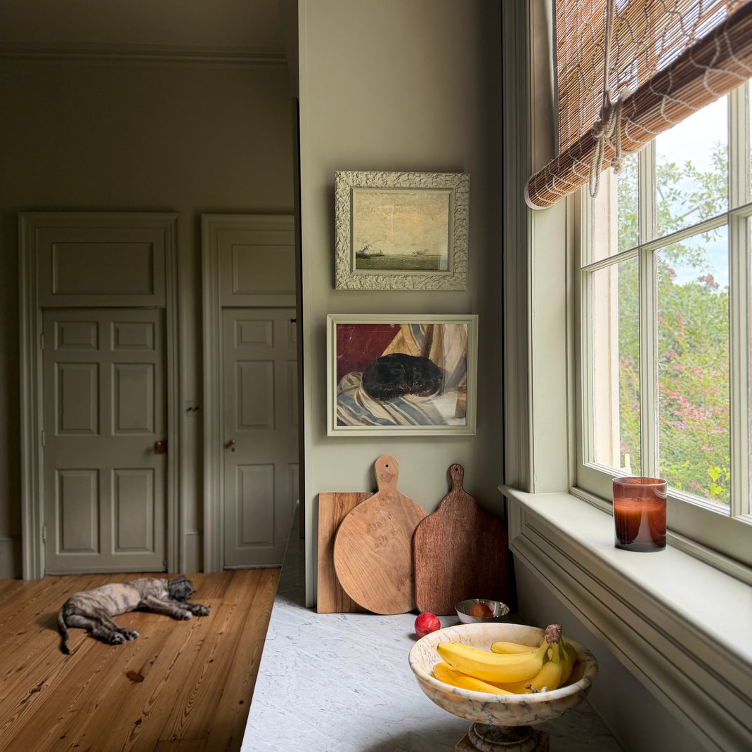 French Gray [Prof. 01]