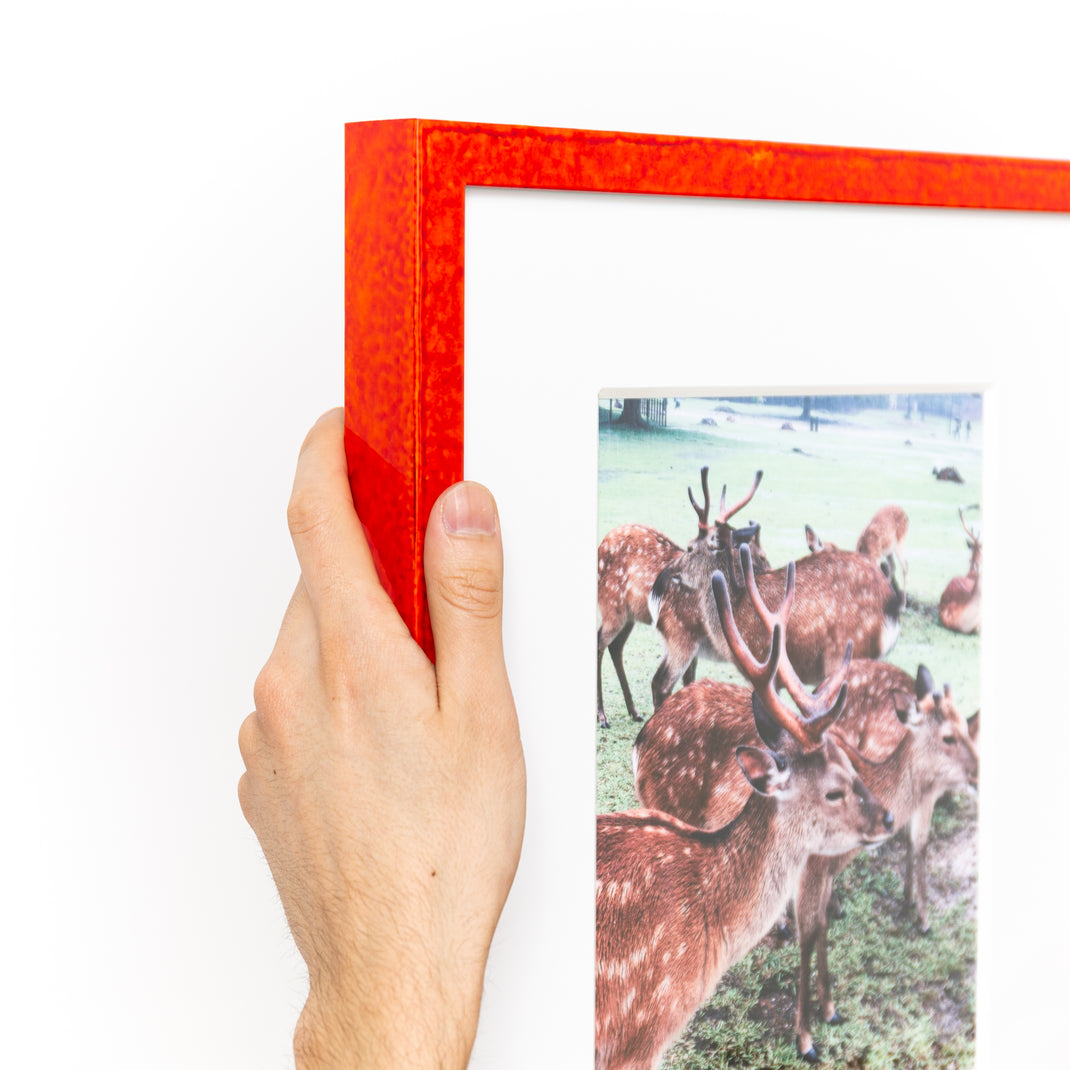 top left corner of photograph of deer framed in kyoto red glazed frame with a white mat