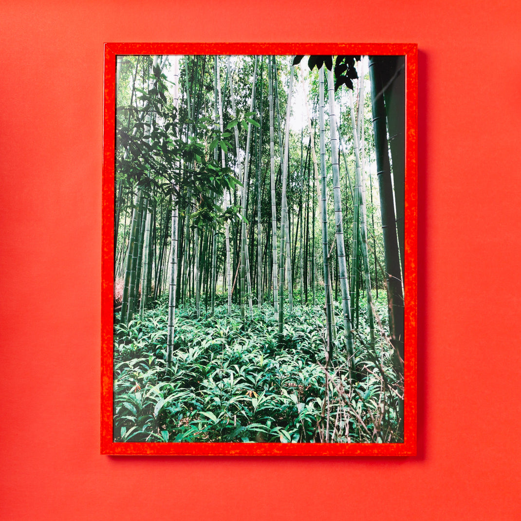 photograph of a bamboo forest framed in kyoto red glazed frame