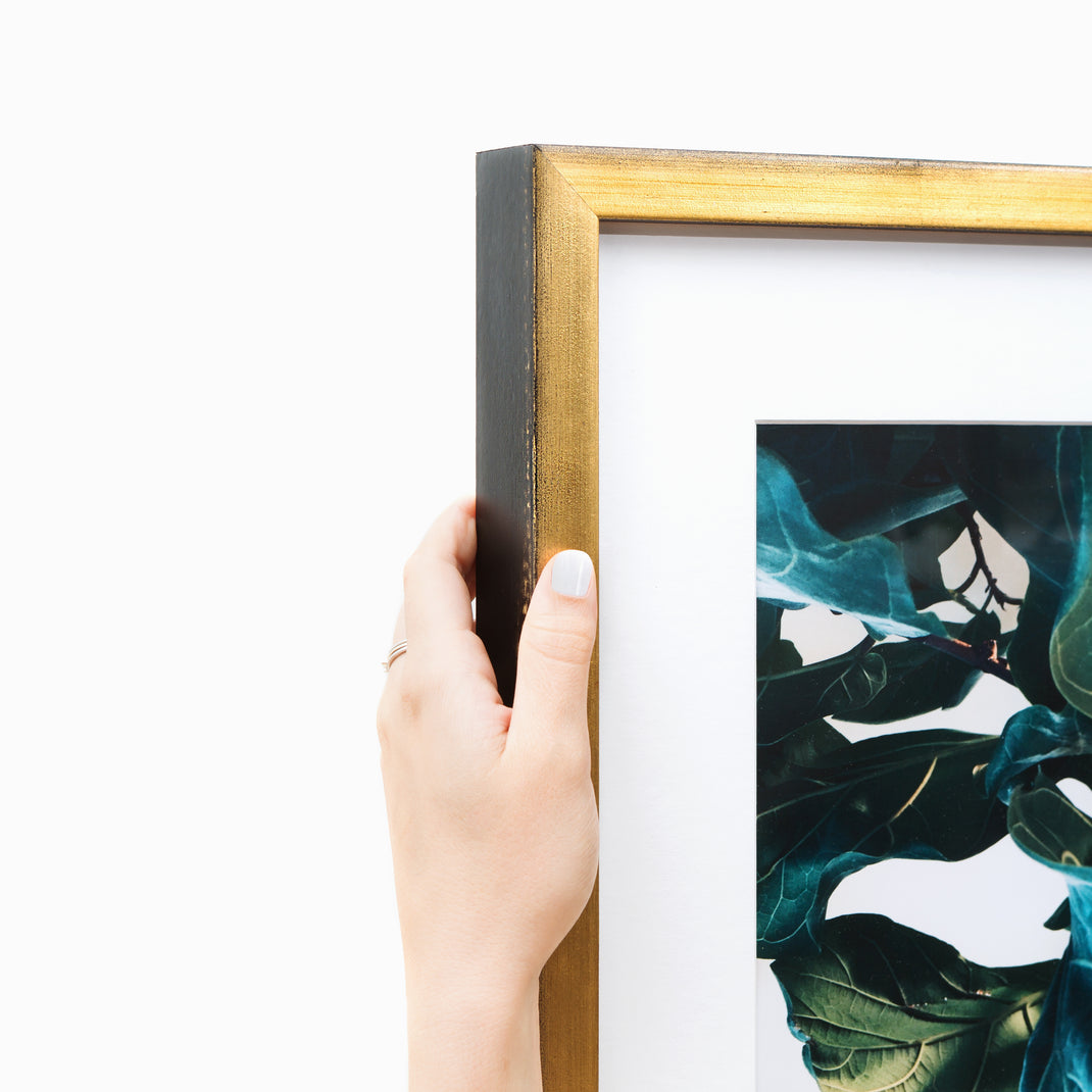 top left corner of close up photo of fiddle leaf fig leaves framed in gold Olympia frame with a white mat