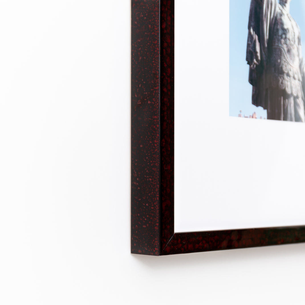 bottom left corner of photo of a statue of a man with birds on it framed in deep burgundy glazed Rome frame with a white mat