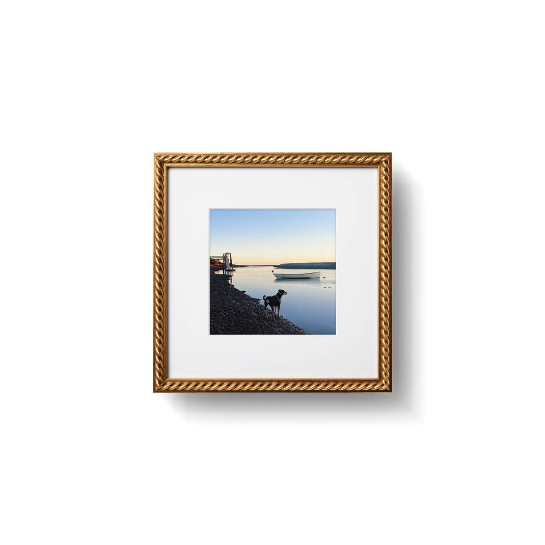 Dog at the lake in square frame