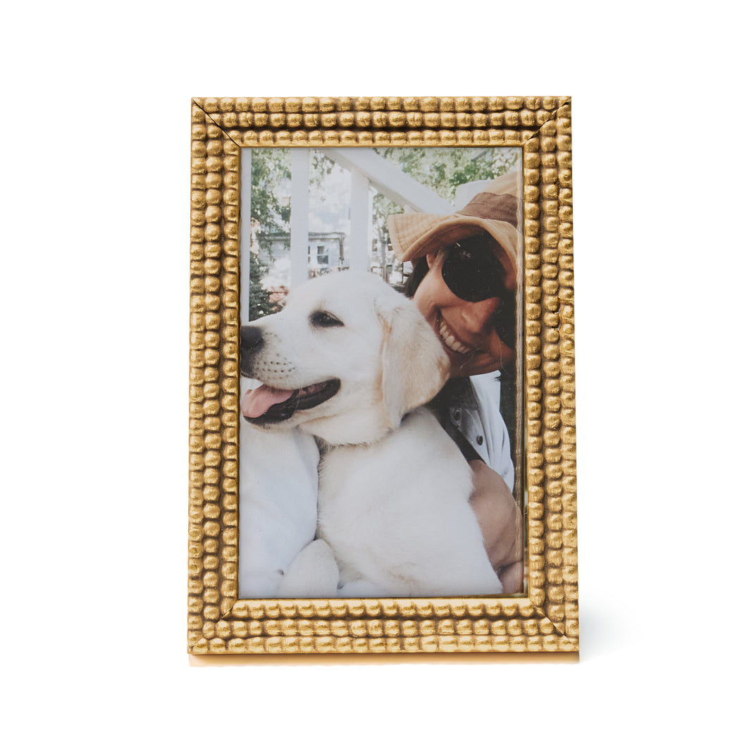 Gold frame with a puppy