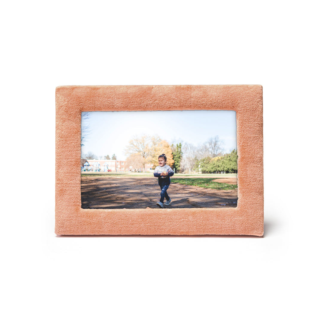Velvet frame
