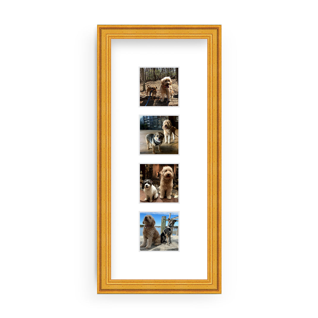 Stacked photos of 2 dogs in the Photostrip