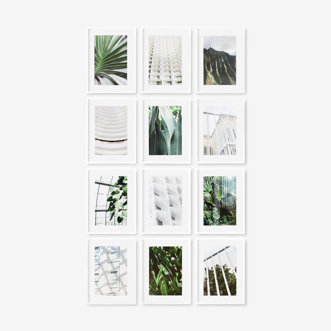 Frame
