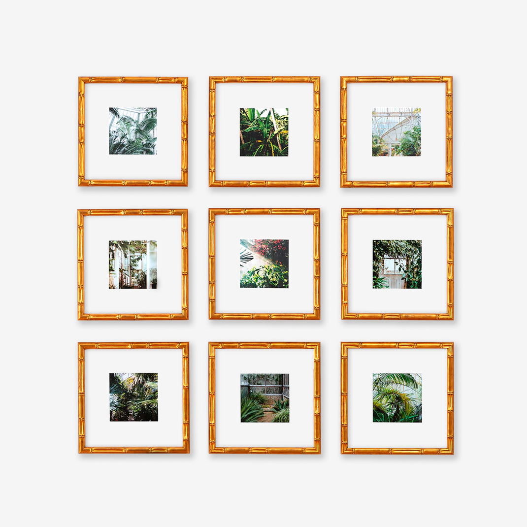 Frame