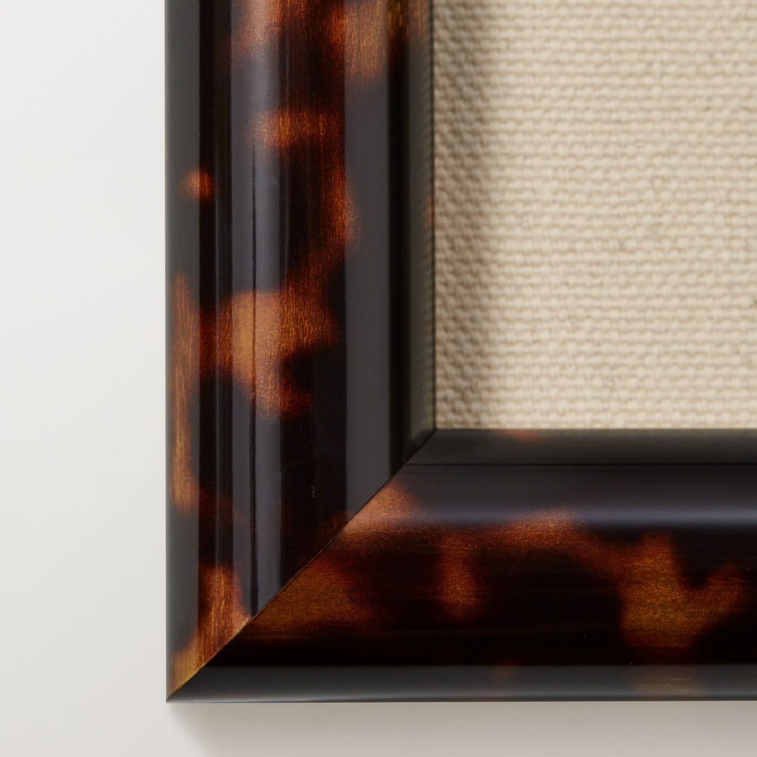 Corner of Toulouse frame