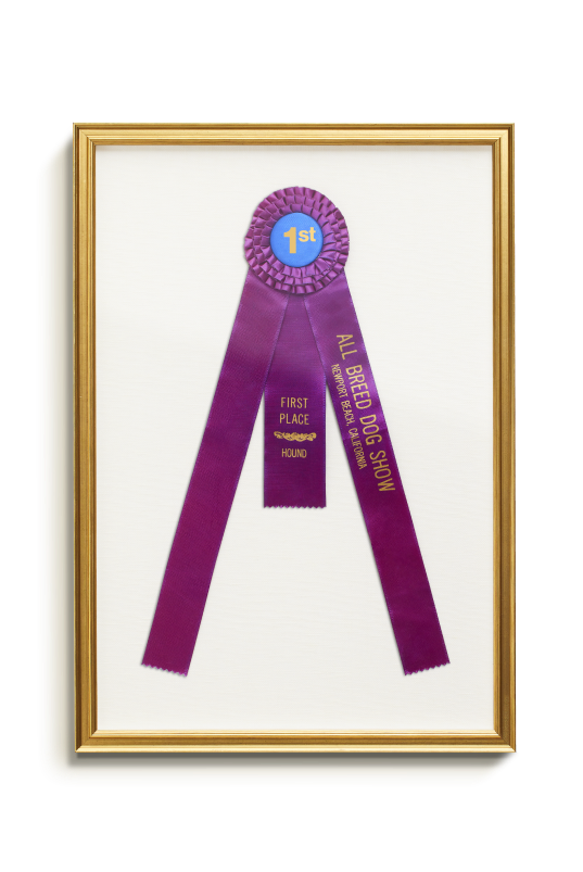 Ribbon in a gold frame