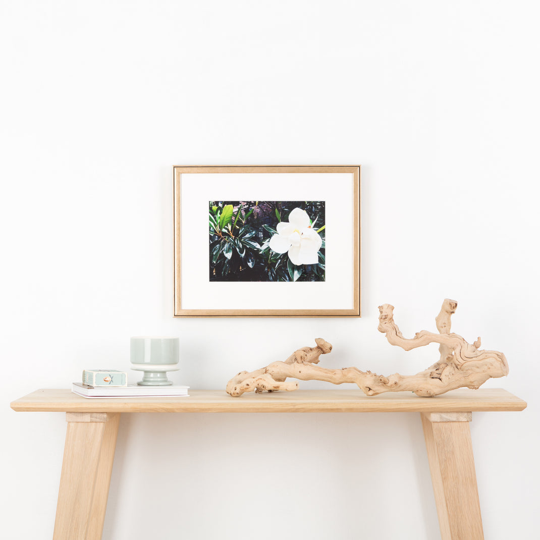 photograph of a magnolia bloom framed in rose gold Rosemont frame with a white mat hanging on a white wall above a wood console table