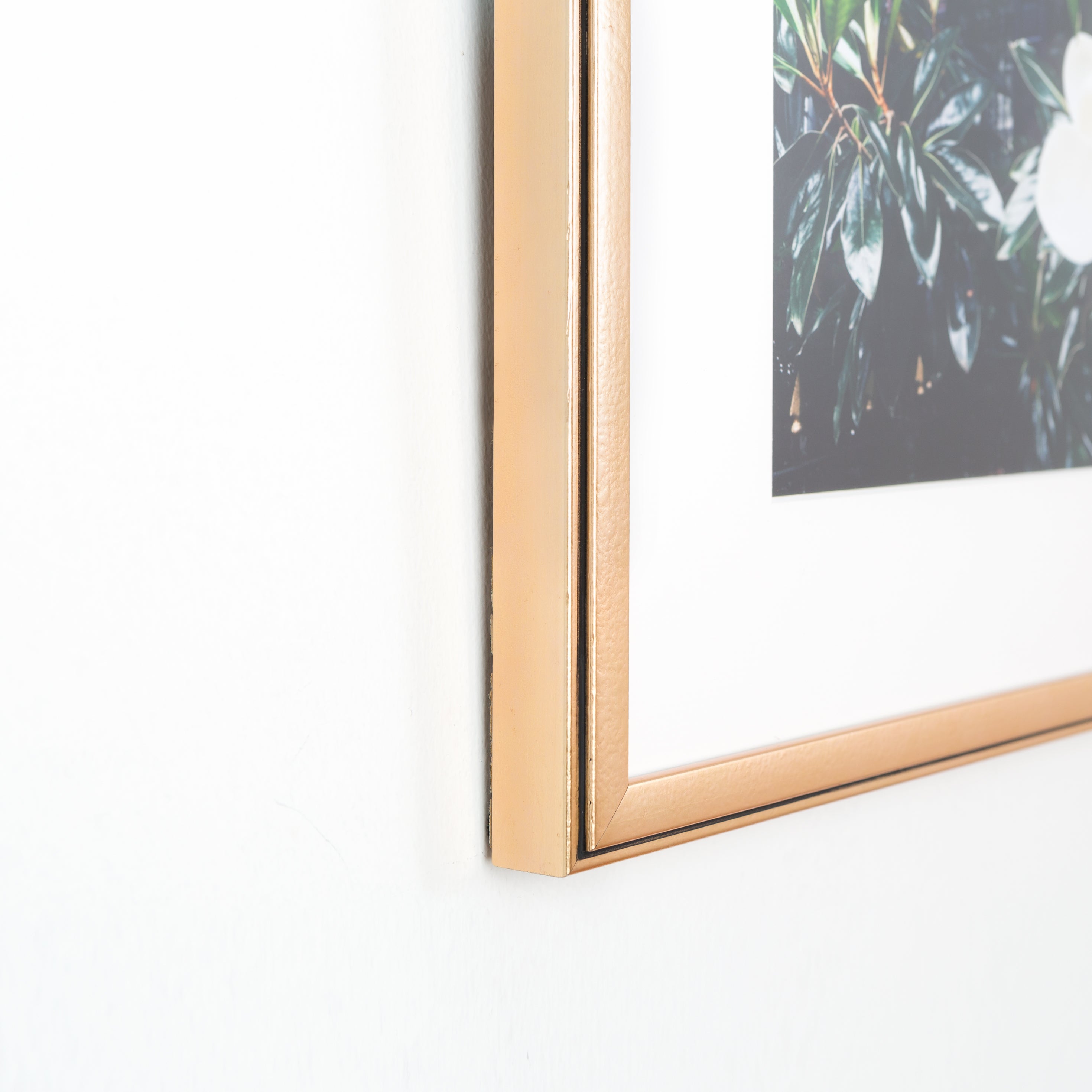 bottom left corner of photograph of a magnolia bloom framed in rose gold Rosemont frame with a white mat