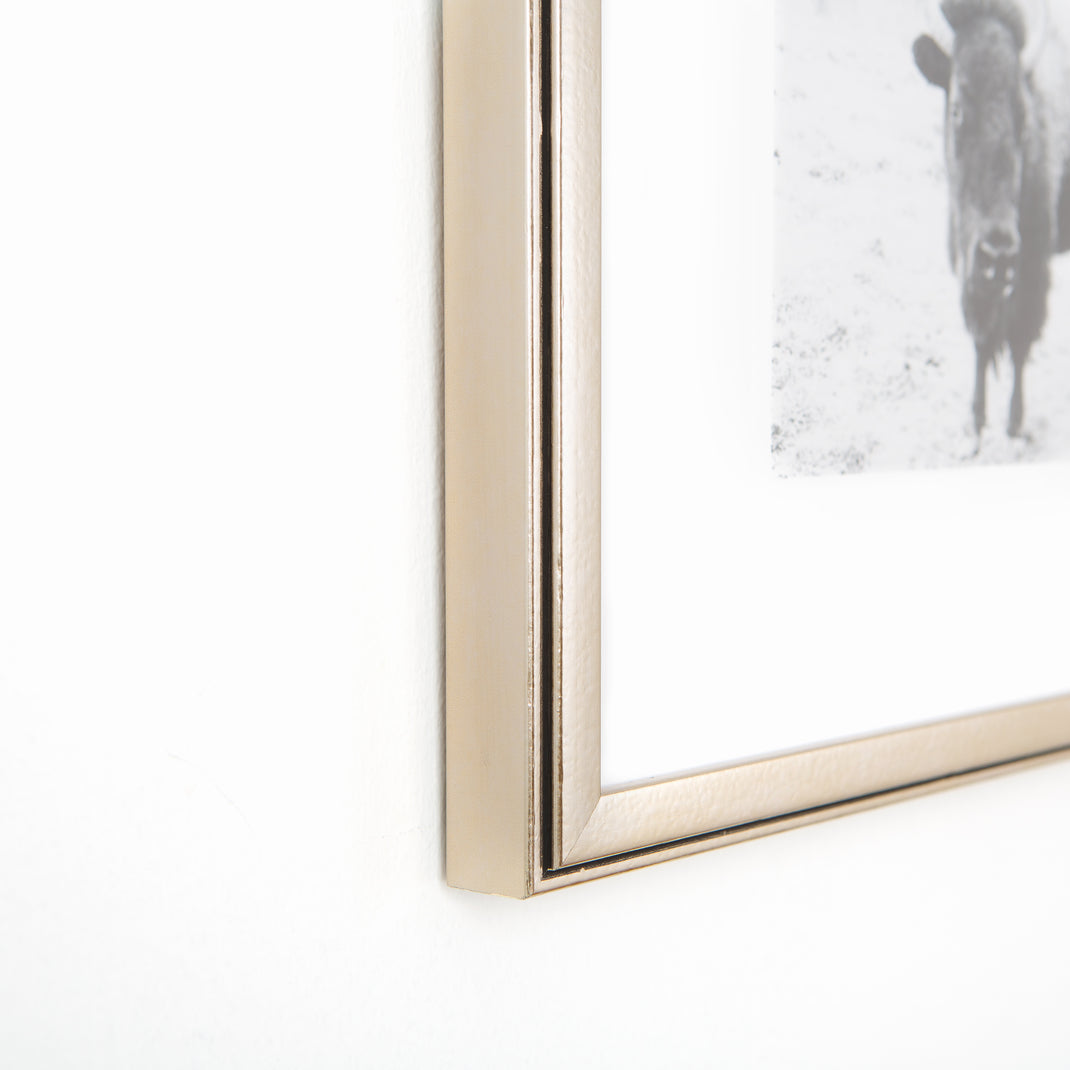 bottom left corner of black and white photo of a buffalo framed in pewter silver Ventura frame with a white mat