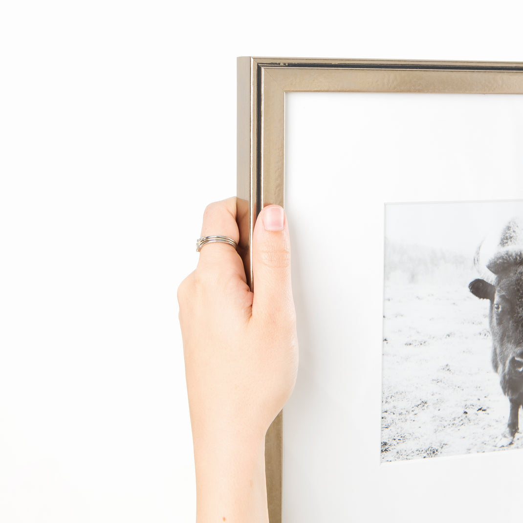 top left corner of black and white photo of a buffalo framed in pewter silver Ventura frame with a white mat