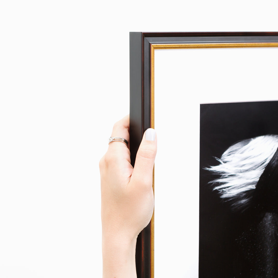 top left corner of black and white photograph of wings framed in black and gold Providence frame with white mat